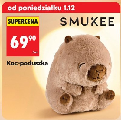 Koc-poduszka promocja w Biedronka