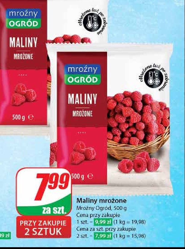 Maliny Mroźny ogród promocja w Dino