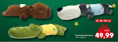 Poduszka pluszowa różne rodzaje promocja w Kaufland