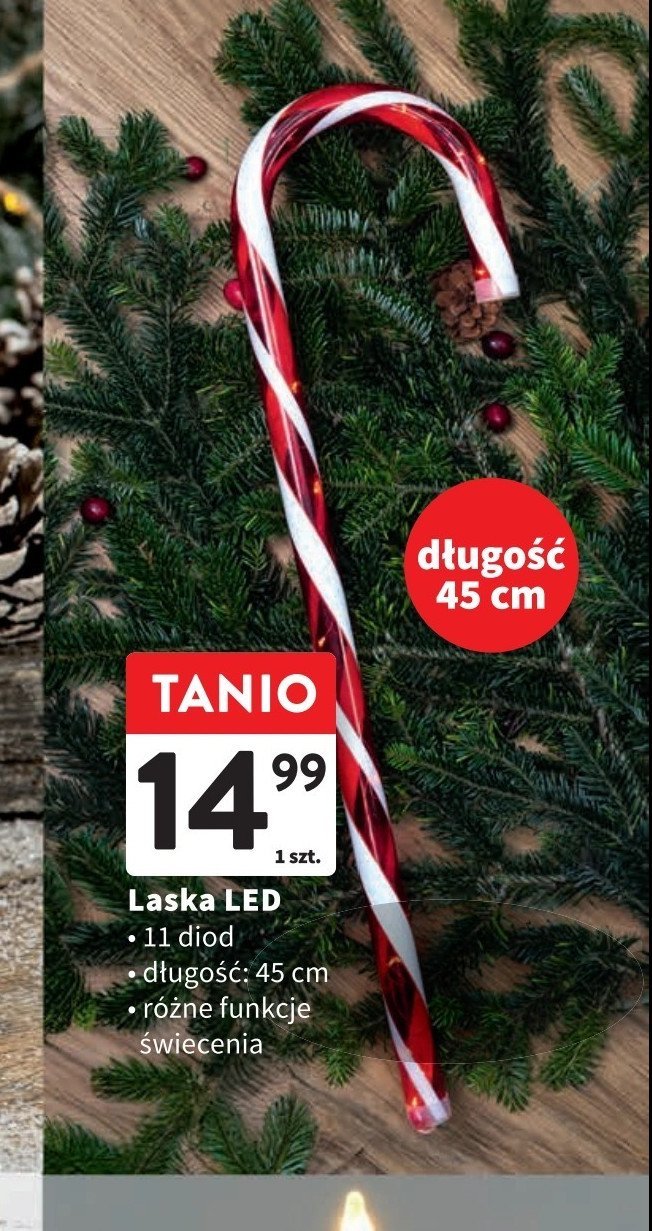 Laska led 45 cm promocja w Intermarche