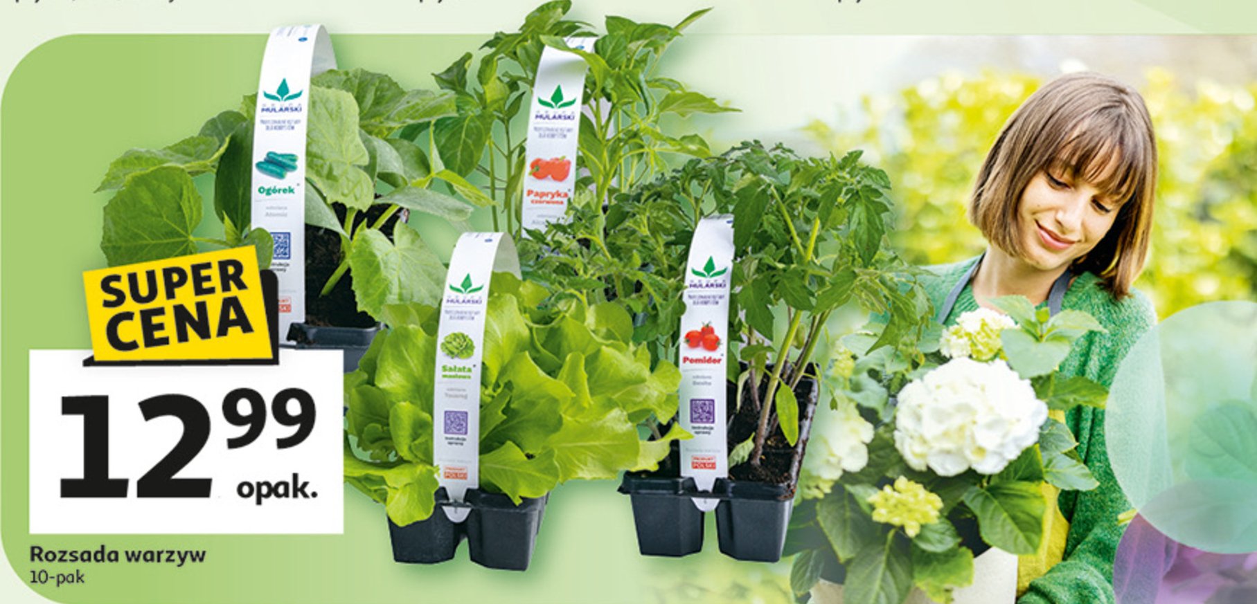 Rozsada papryka promocja w Auchan