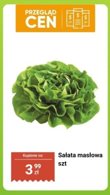 Sałata masłowa 1 szt. promocja w Dino