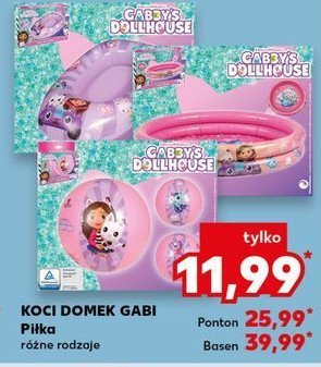 Basen koci domek gabi promocja