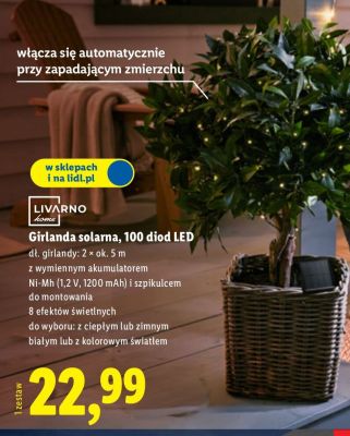 Girlanda solarna 100 diod LED promocja w Lidl