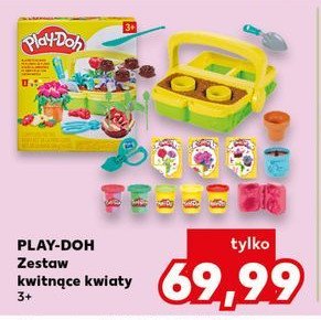Ciastolina kwitnące kwiatki Play-doh promocja w Kaufland