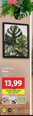 Obraz 30 x 40 cm LIVARNO HOME promocja