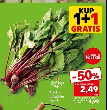 Botwinka polska K-classic stąd takie dobre! promocja