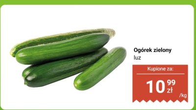 Ogórek zielony luz promocja w Dino