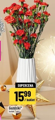 Goździki bukiet 7 szt. promocja w POLOmarket