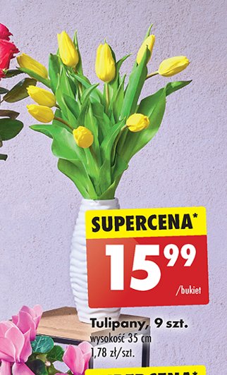 Tulipany 35 cm promocja