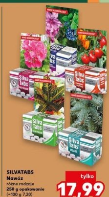 Naw贸z w tabletkach do ro艣lin zielonych Silva tabs promocja