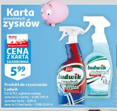 Płyn do czysczenia kamień i rdza Ludwik aktywna piana promocja