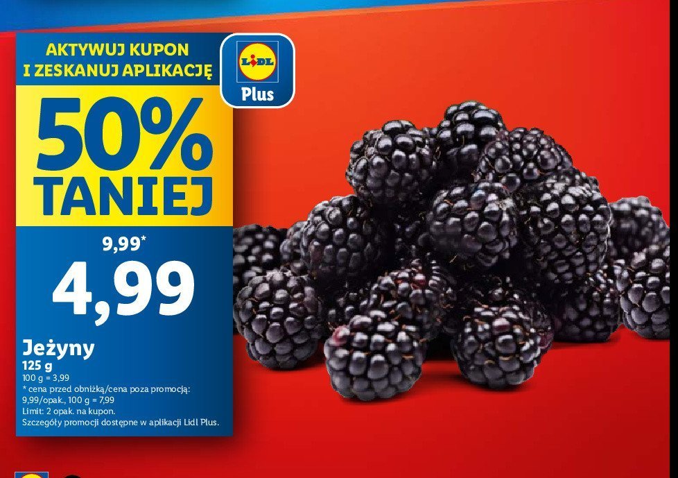 Je偶yny promocja