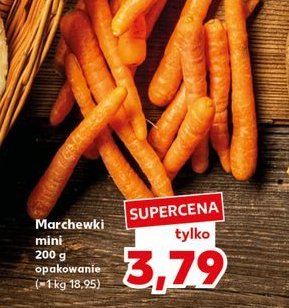 Marchewka mini promocja