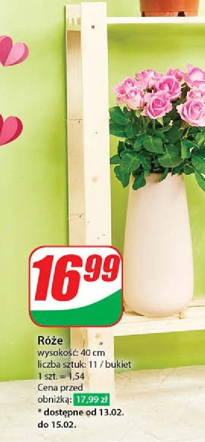 Róże 40 cm promocja