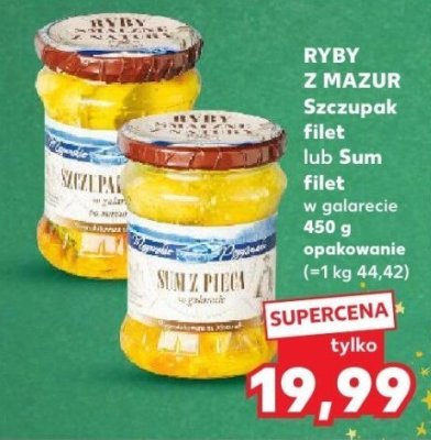 Sum filet w galarecie  promocja w Kaufland