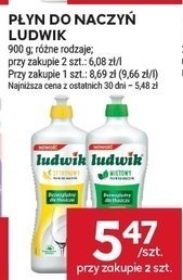 Płyn do naczyń Ludwik promocja w Stokrotka