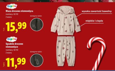 Spodnie dresowe niemowlęce Lupilu promocja w Lidl