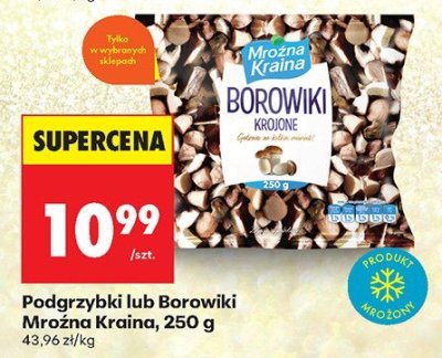 Podgrzybki lub Borowiki Mrożna Kraina, 250 g promocja w Biedronka
