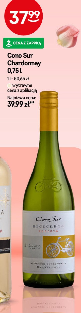 Wino Cono sur bicicleta chardonnay promocja