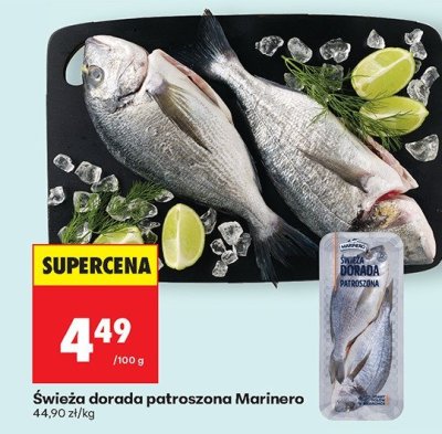 Świeża dorada patroszona  promocja w Biedronka