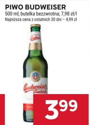Piwo Budweiser promocja w Stokrotka