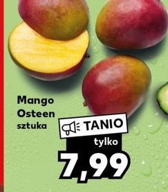 Mango osteen promocja
