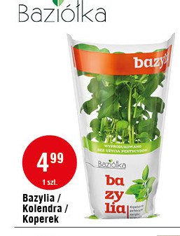 Bazylia Bazi贸艂ka promocja