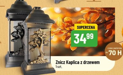 Znicz Kaplica z drzewem promocja w POLOmarket