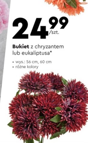 Bukiet z eukaliptusa promocja