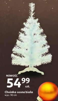 Choinka sosna bia艂a 90 cm promocja