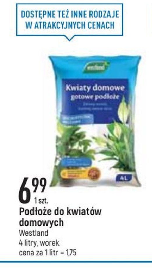 Podłoże kwiaty domowe Westland promocja