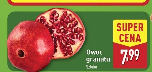 Granat promocja w Aldi
