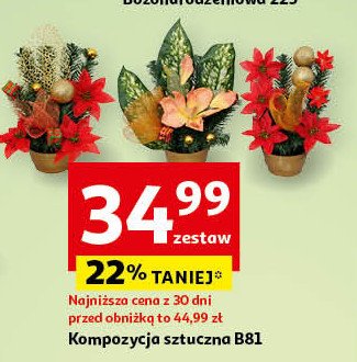 Kompozycja sztuczna b81 promocja