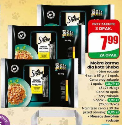 Mokra karma dla kota Sheba różne rodzaje promocja w Dino