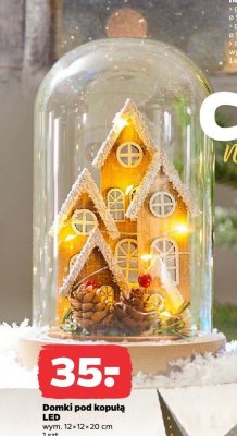 Domki pod kopułą LED promocja w Netto