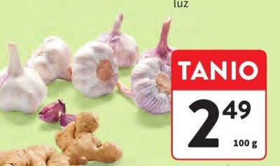 Czosnek luz promocja w Intermarche