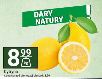 Cytryna z li艣ciem promocja w Hitpol