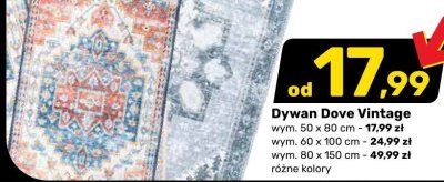Dywan Dove Vintage promocja w Bricomarche