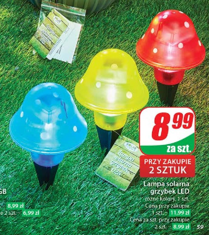 Lampa solarna grzybek promocja w Dino