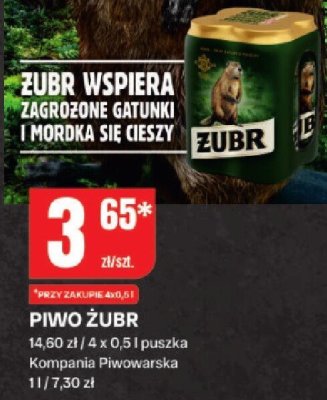 Piwo Żubr promocja w Chorten