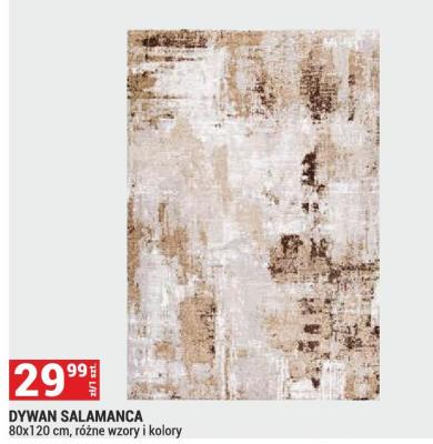 Dywan SALAMANCA 80x120 cm, różne wzory i kolory promocja w Merkury Market