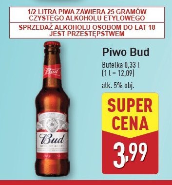 Piwo Bud promocja