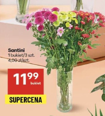Santini promocja w Delikatesy Centrum