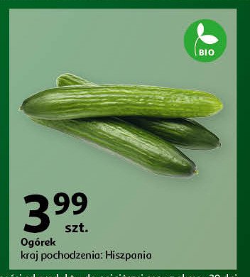 Ogórek zielony hiszpania promocja w Auchan