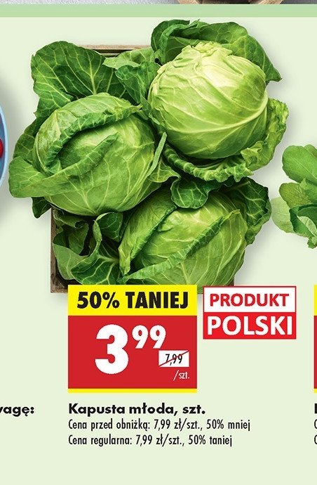 Kapusta m艂oda promocja