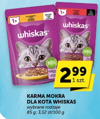 Karma mokra dla kota Whiskas wybrane rodzaje 85 g promocja w Euro Sklep