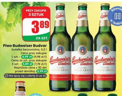 Piwo Budweiser Budvar butelka bezwrotna promocja w Dino