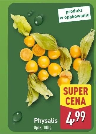 Physalis promocja