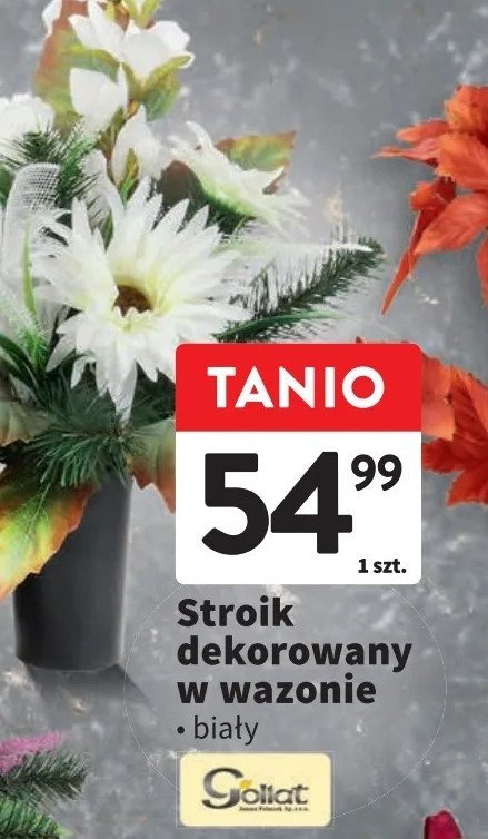 Stroik dekorowany Goliat promocja w Intermarche